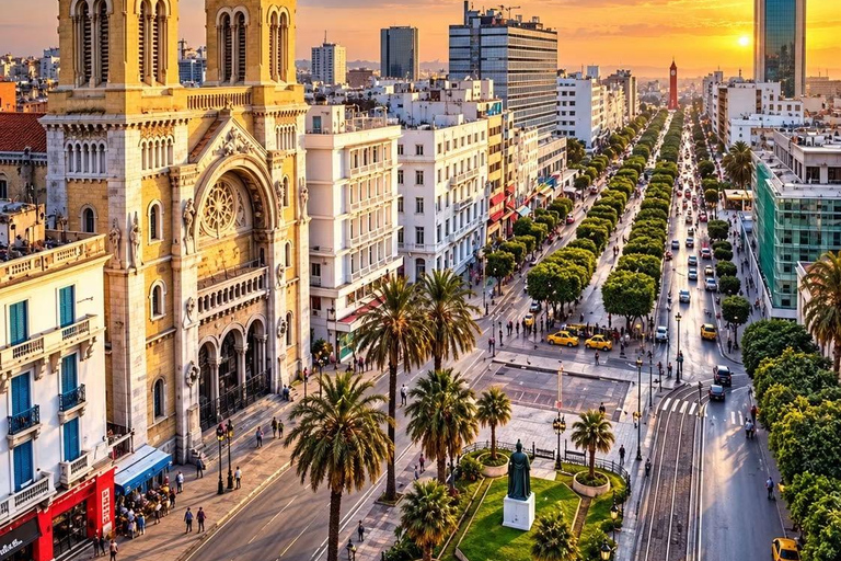 Tunis: Medina & Bardo Museum Private Tour with Tickets