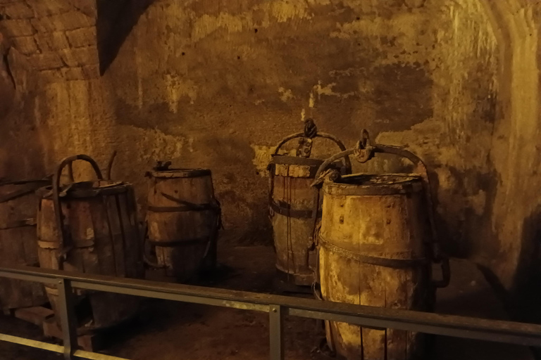 From Dresden: Table mountains Lilienstein & Königstein tour