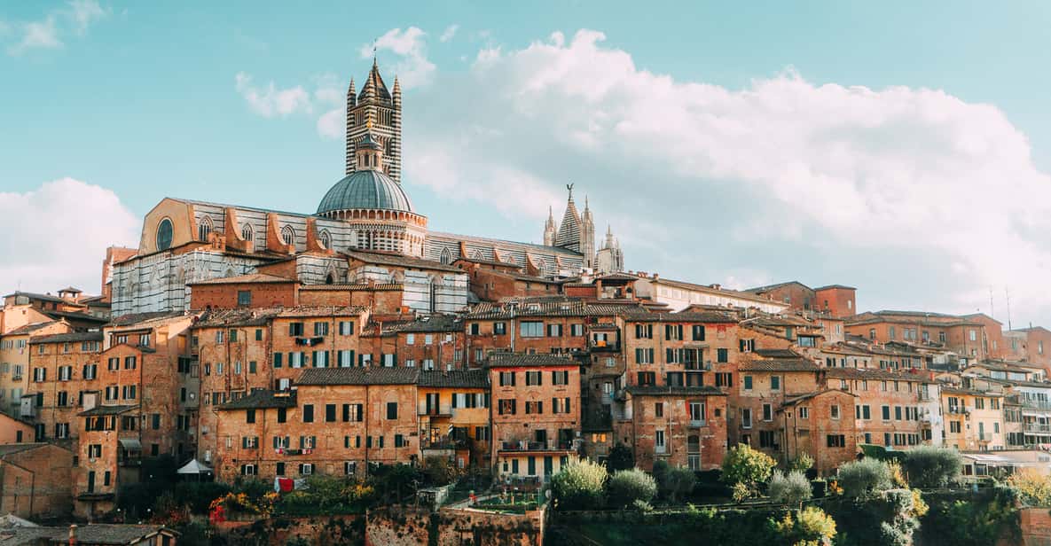 Image result for Cruise from Florence to Siena in Style with a Private Driver infographics