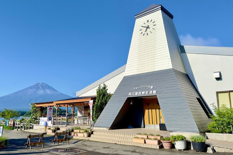 Tokyo: Mount Fuji Day Tour, Oshino Hakkai, Lake Kawaguchi Lunch Excluded | 8:30 AM from Shinjuku Station