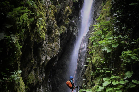 Batumi: Goderdzi Pass Tour/ Transfer