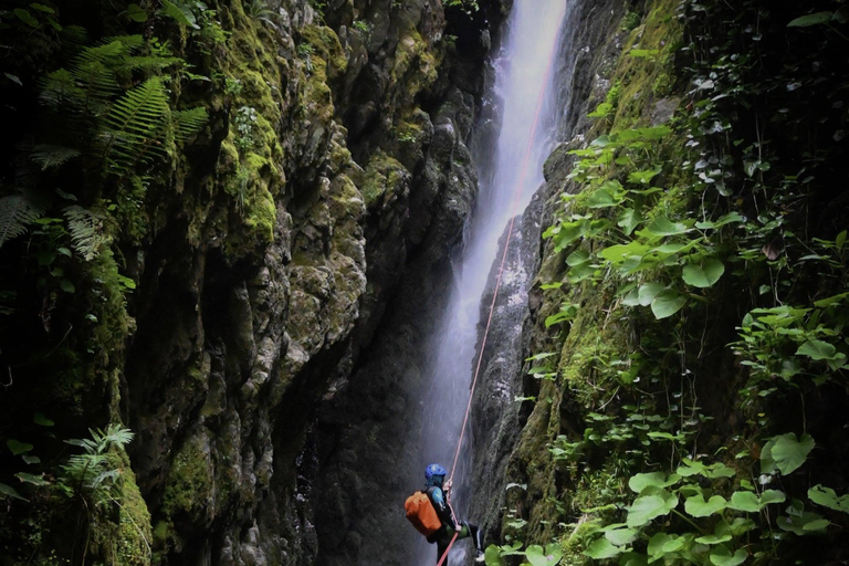 Batumi: Goderdzi Pass Tour/ Transfer