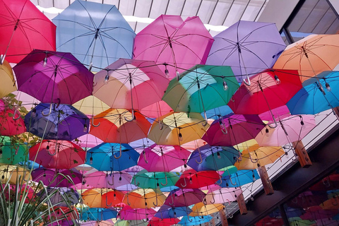 Playa del Carmen: Tour por Tulum, Playa Paraiso e 5ª Avenida