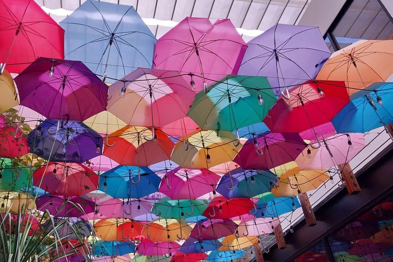 Playa del Carmen: Tour por Tulum, Playa Paraiso e 5ª Avenida