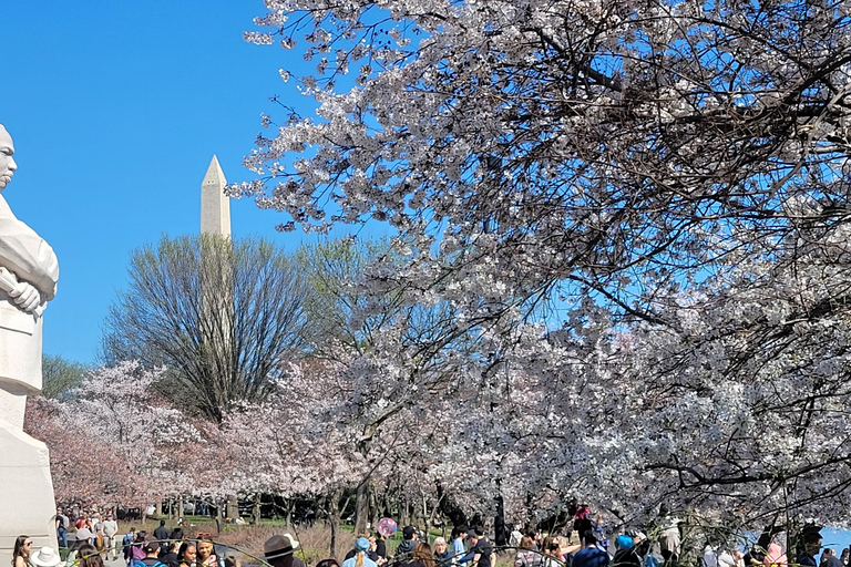 Private Washington DC Grand Tour with Changing of the Guard.