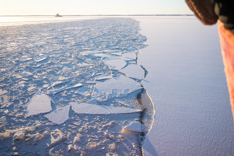 Icebreaker Cruise & Ice Floating Experience Own Transport