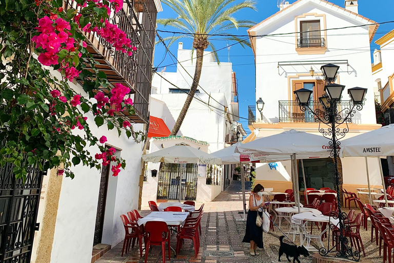 Málaga: Ronda, Marbella, and Puerto Banús Day Trip
