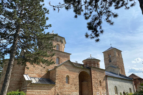 De Belgrado: mosteiro Studenica e mosteiro Zica