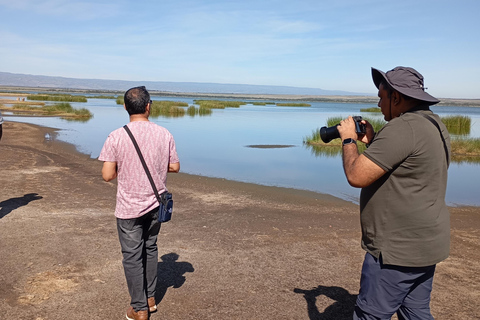 Tagestour zum Lake Elementaita &amp; Lake Naivasha ab Nairobi