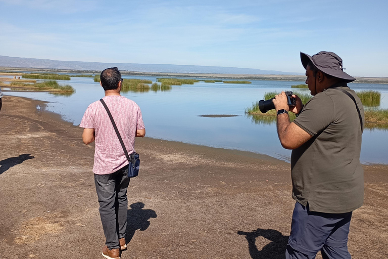 Tagestour zum Lake Elementaita &amp; Lake Naivasha ab Nairobi