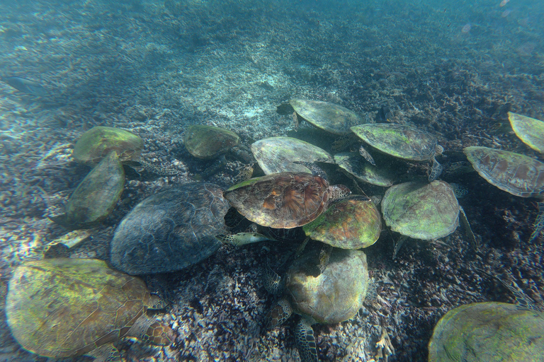 From Muscat: Dimaniyat Islands Snorkeling Tour with Lunch Dimaniyat Snorkeling Cruise with Snacks & Transfers