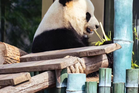 Yueyang: Giant Panda Garden Skip-the-Line Ticket