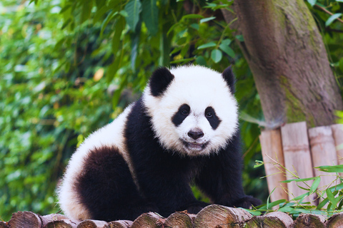 Beijing: Summer Palace Guided Tours & Top Park Combos Private Summer Palace & Old Summer Palace Park Walk Tour