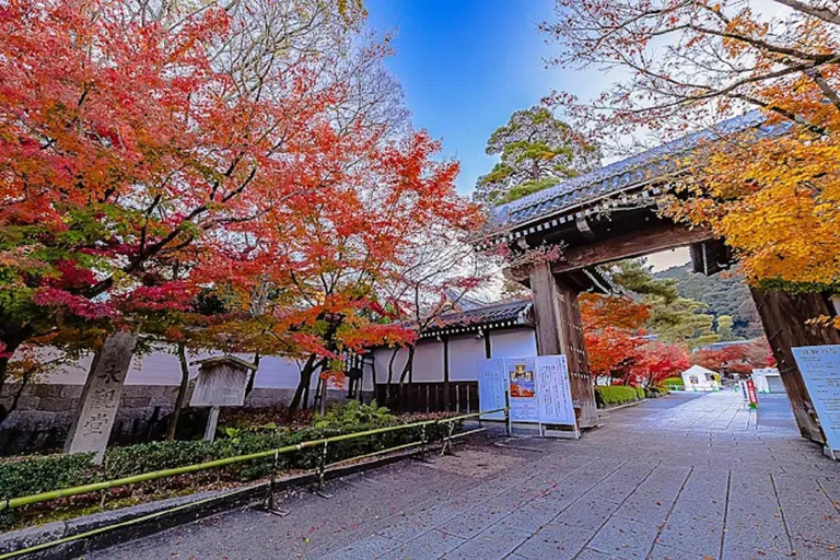 Kyoto : Whispers of Art, Zen &Love Couple’s Journey in Kyoto