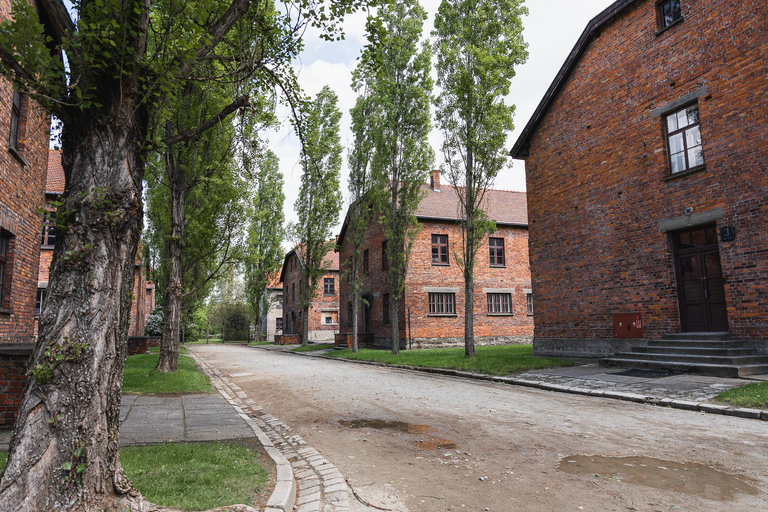 Krakow: Auschwitz-Birkenau Best Quality Guided Tour & Pickup Guided tour with Hotel Pickup