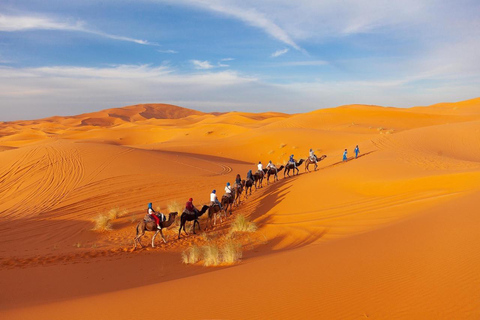 3-Day Sahara Tour Marrakech to Agadir + Camel & Quad Standard Desert Camp (Recommended)