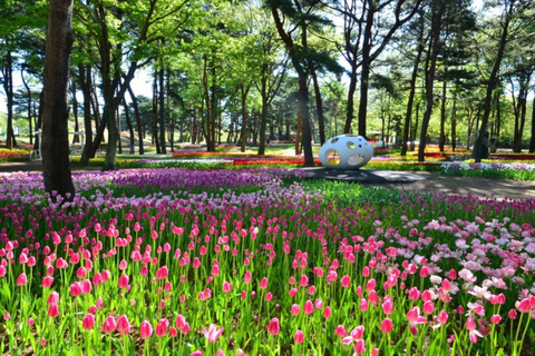 Ibaraki Shrine、Seafood Market、Flower Sea Day Tour Shinjuku West Exit