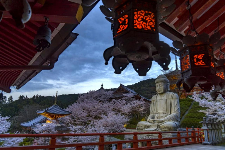 Osaka/Kyoto: Private Nara Day Trip with Guide and Luxury Van