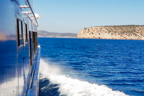 Mallorca: Kryssning med delfinskådningPaguera: Samling på Playa Tora