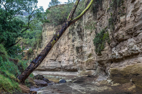 Von Nairobi aus: Ganztagestour zum Hell's Gate National ParkVon Nairobi: Ganztagestour zum Hell's Gate National Park