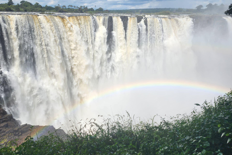 Victoria Falls Zimbabwe: Mosi-oa-Tunya Walk with Local Guide
