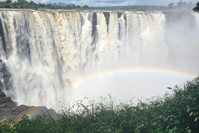 Victoria Falls Zimbabwe: Mosi-oa-Tunya Walk with Local Guide