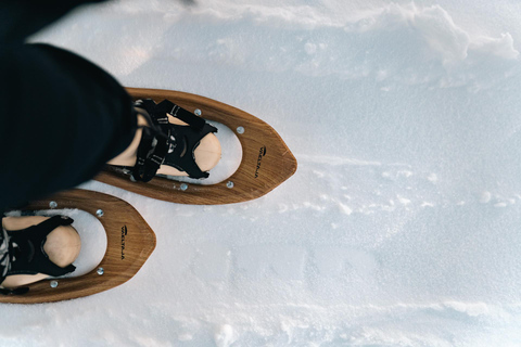 Rovaniemi: Snowshoeing in the Arctic Wilderness