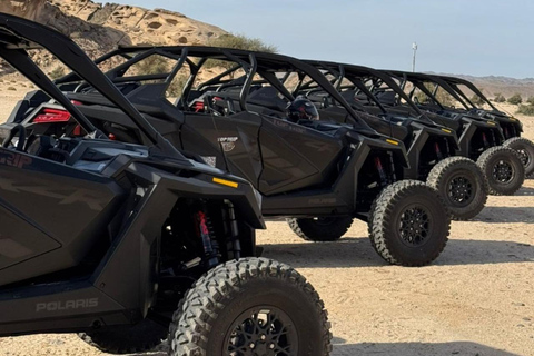 AlUla: Guided Dune Buggy Adventure with Driver