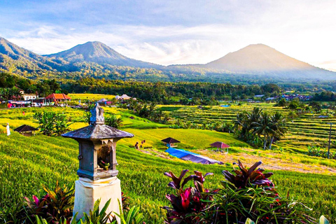 Bali: From Royal Garden to Floating Shrines and Ocean Temple