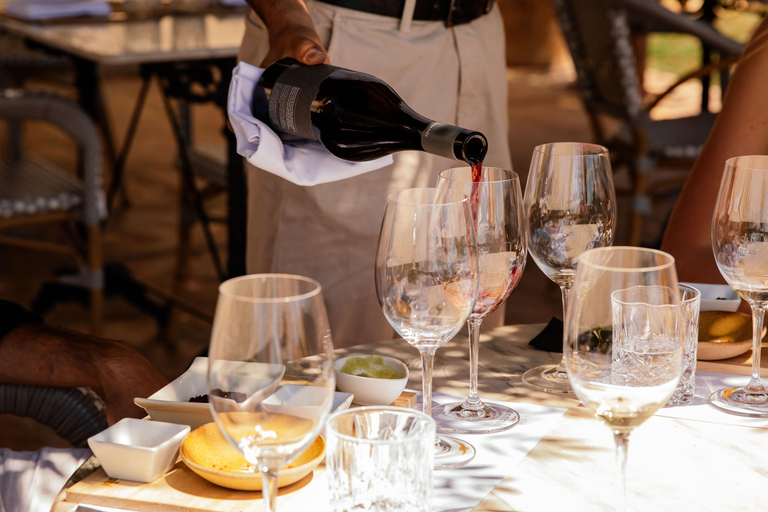 Barcelona: Private Priorat Wine Tour + 3-course Pairing Meal