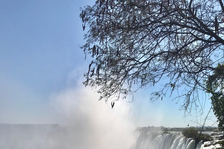 Livingstone: Rhino Walk, Victoria Falls &Mukuni Village Tour