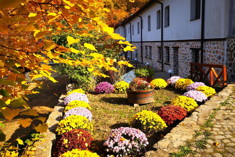 Sofia Holy Mount: Boyana Church & 3 Monasteries with 1 Trip! Private Option