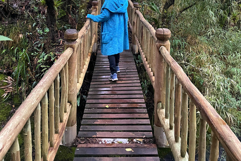 ملاذ الأنديز الصحي - جولة مشي طويلة والينابيع الساخنة في بابالاكتاAndean Wellness Escape - Hike &amp; Hot Springs of Papallacta