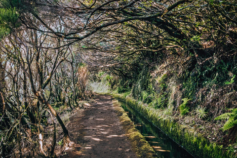 MADEIRA EILAND WANDELING - MEREN VAN MADEIRA , LEVADA DO ALECRIMWandeling door de meren van Madeira-eiland