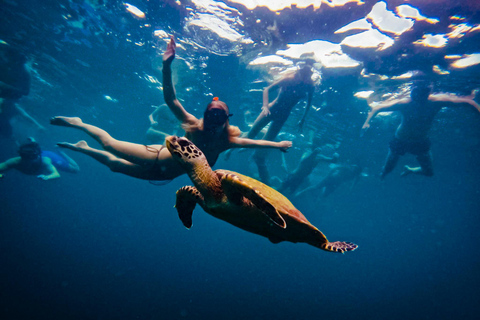 Ko Tao: Late Riser Snorkeling Tour with Lunch and Photos