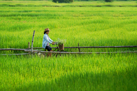 Z Ho Chi Minh: tunel Cu Chi & delta Mekongu VIPGrupa VIP i transport limuzyną