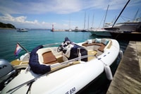 Zadar, Speedboat-Tour nach Ugljan, Osljak und Galevac - Hizvo