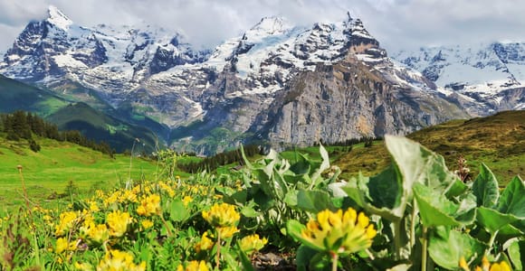 Lauterbrunnen: Hike to Mürren & Trümmelbach Waterfalls Visit