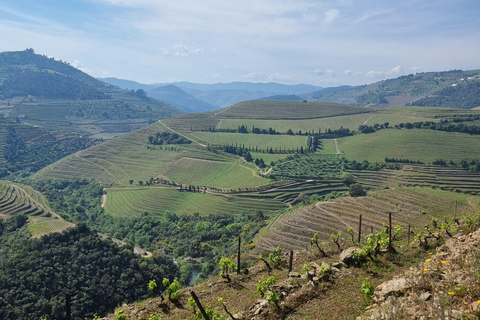 VALLEE DU DOURO : Visite guidée des vignobles, croisière et déjeuner dans un établissement vinicole.Visite privée