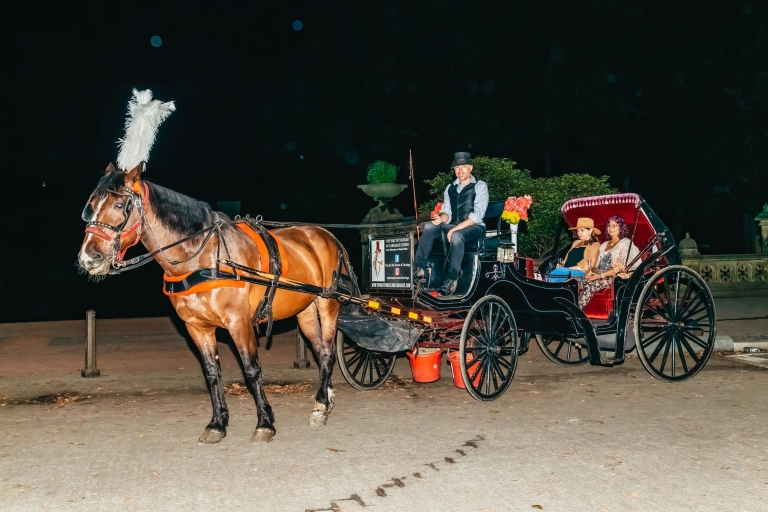 Central Park NYC: paseo a caballo y en carruaje