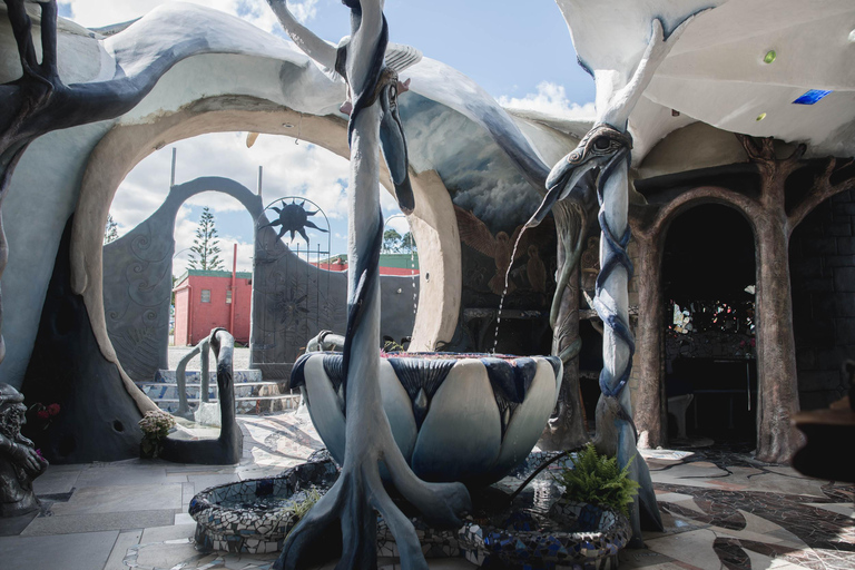 From Auckland: Hole in the rock cruise tour