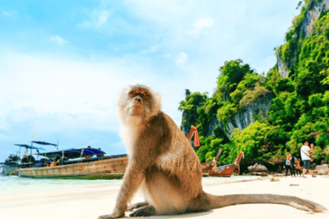 Phuket: Passeio de lancha ou catamarã pelas ilhas Phi Phi e KhaiPhuket: Passeio de catamarã pelas ilhas Phi Phi e Khai