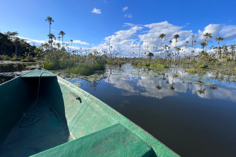 Puerto Maldonado: Pesca privada de piranhas no lago Yacumama