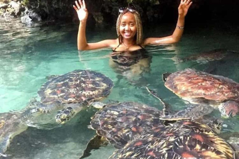 Nungwi: Swim with Sea Turtles at Sanctuary with Transfer Private Tour with Hotel Transfer Anywhere in Zanzibar