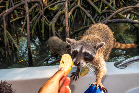 From Cartagena: Visit 5 Islands with snorkeling, beaches and buffet lunch