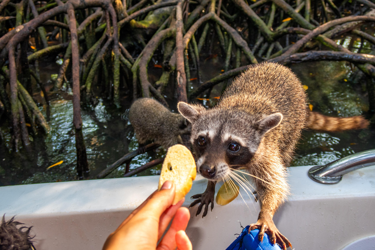 From Cartagena: Visit 5 Islands with snorkeling, beaches and buffet lunch