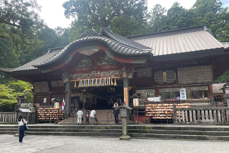 Tokyo: Tokyo Full Day Private Tour With English Driver Tokyo Private Customized Tour