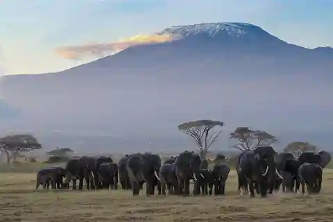 Nairobi: 3-Day Amboseli National Park Safari