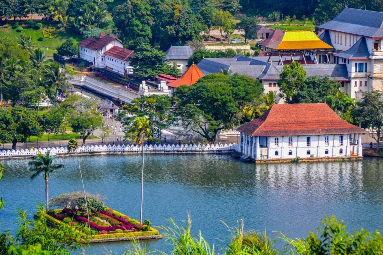 Day Tour To Kandy From Colombo