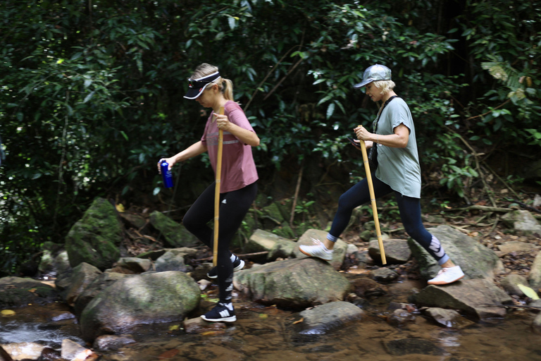 Phuket Día de 4 Elementos con Expedición de Aventura en Tirolina